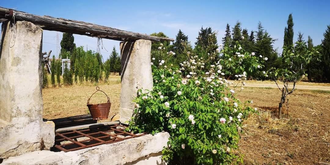 Вилла Le Cernicole Melissano Экстерьер фото
